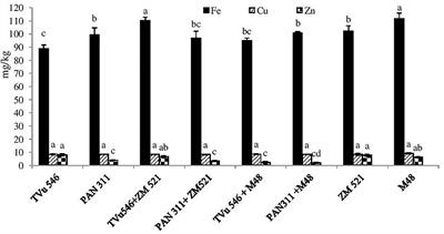Rhizosphere P-Enzyme Activity, Mineral Nutrient Concentrations, and Microbial Community Structure Are Altered by Intra-Hole Cropping of Cowpea With Cereals